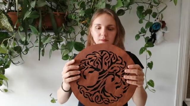 Диск дождя. Размеры смотреть онлайн