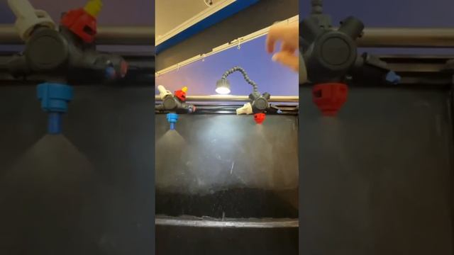 ПРИНИМАЕМ УЧАСТИЕ В "СИБИРСКОЙ АГРАРНОЙ НЕДЕЛЕ" 2023 ГОДА смотреть онлайн