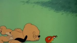 Плуто младший. Мультфильм от Дисней