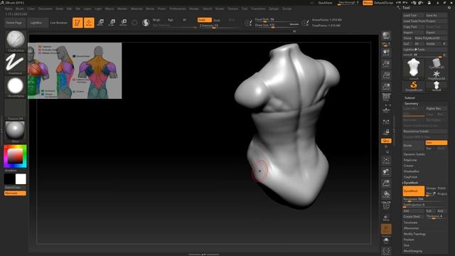 Sculpting Torso (Part-2) Back in Zbrush - Ch-7 смотреть онлайн