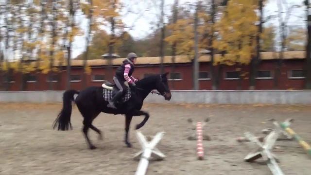 Как не надо проходить кавалетти смотреть онлайн