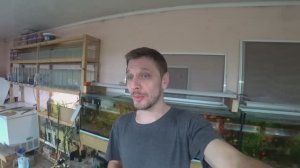Собрал малька Радужницы. Починил фильтр. И чистка аквариумоа. Будни Аквариумиста