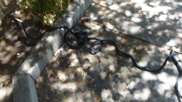 July 15 2014,,Xhose PRO 25-Feet,, смотреть онлайн