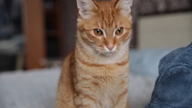 Один день из жизни Даши Холодных смотреть онлайн