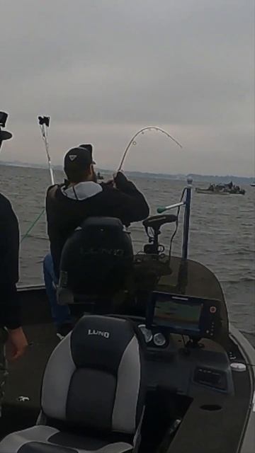 Huge King Salmon Almost Jumps in Another Boat | Salmon Jigging смотреть онлайн