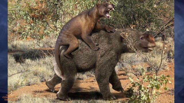 Megafauna of Australia and New Zealand in the Ice Age: A look at the Blitzkrieg Theory смотреть онлайн