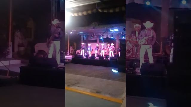 la nueva libertad norteña - la malva rosa смотреть онлайн