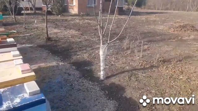 Как зимуют рои. Январь +16 смотреть онлайн