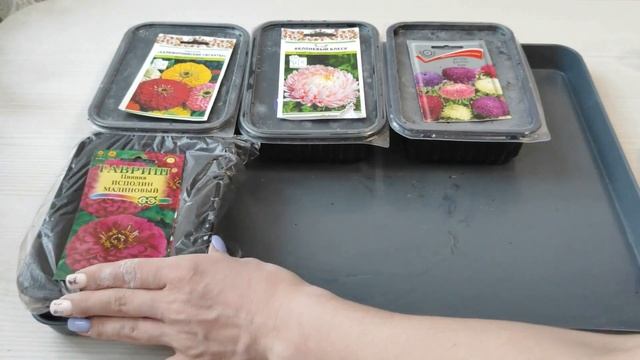 Наши будни на съемной квартире продолжаются/ Посадка циннии и астры/ Переезд смотреть онлайн