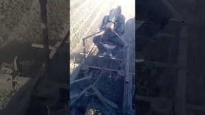 Прополка арбуза 2017 ножницами
