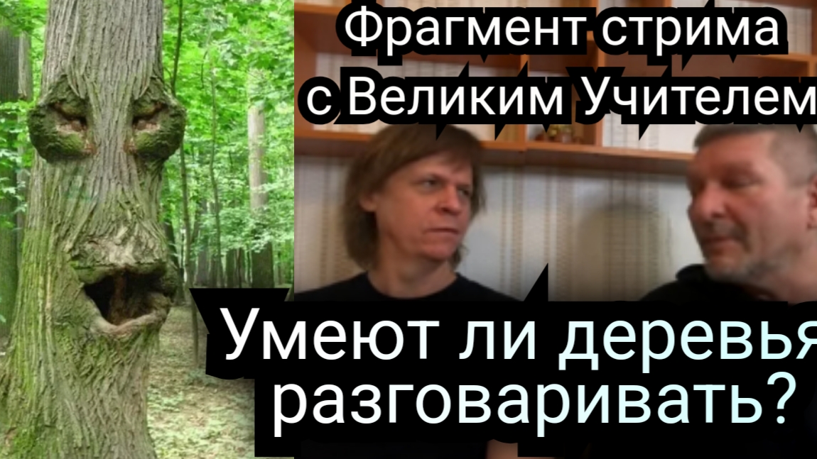 Умеют ли растения и деревья разговаривать? смотреть онлайн