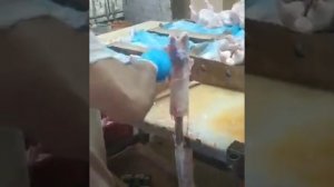 как правильно чистить курица