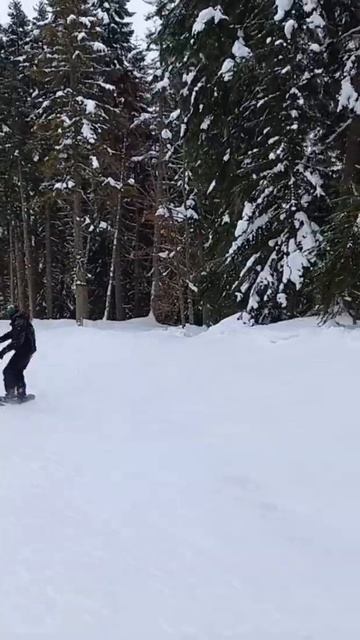 Покатались... #Shorts смотреть онлайн