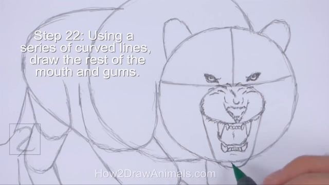 How to Draw a Tiger Roaring смотреть онлайн