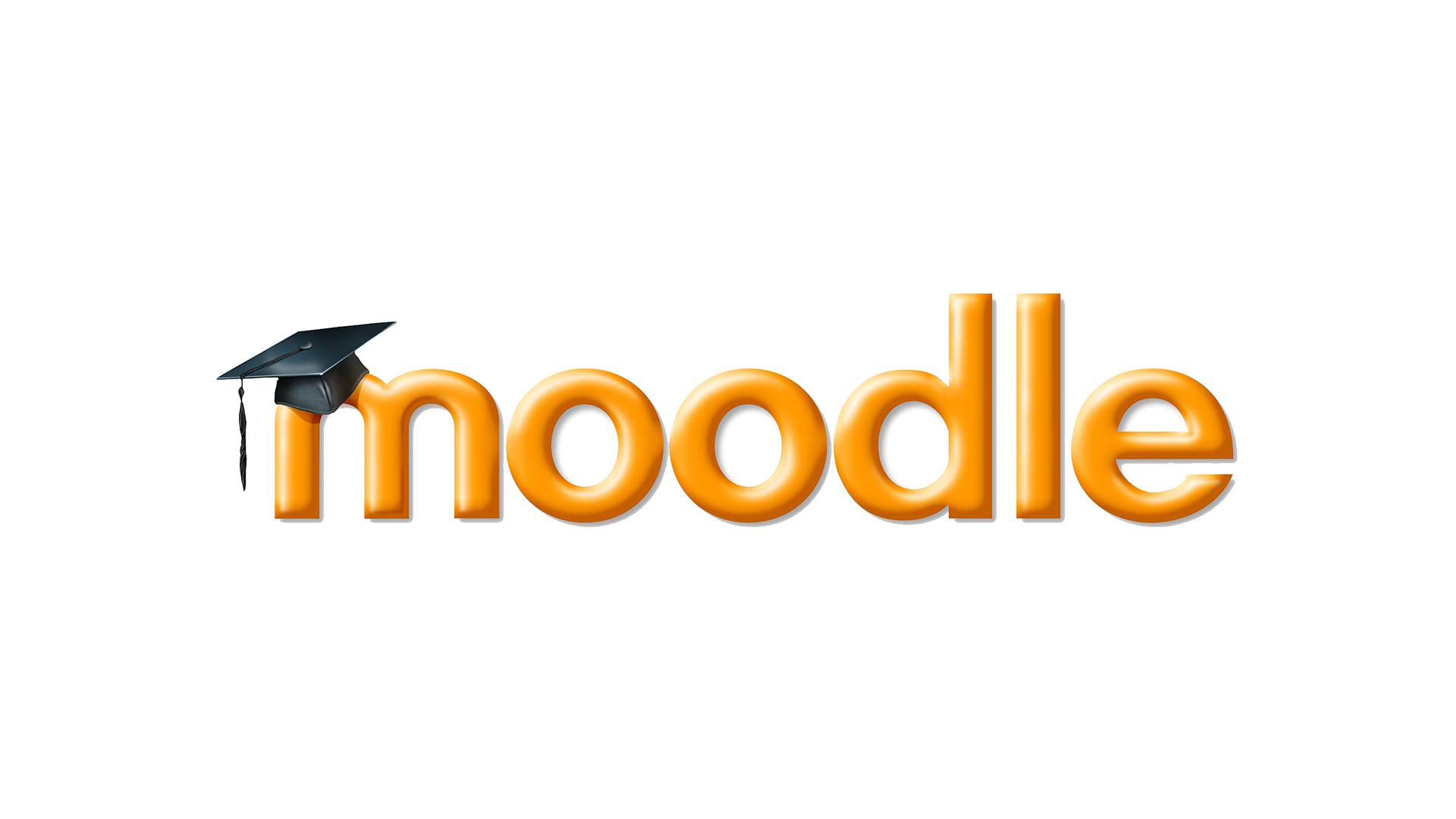 наполнение теста вопросами смотреть онлайн