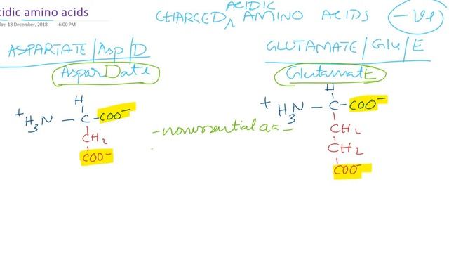 Acidic amino acids: Structure and functions: Protein chemistry смотреть онлайн