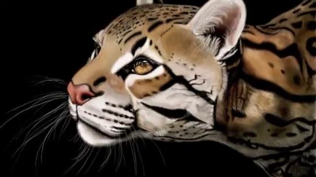 Drawing of an OCELOT on (Wacom Drawing Tablet) смотреть онлайн
