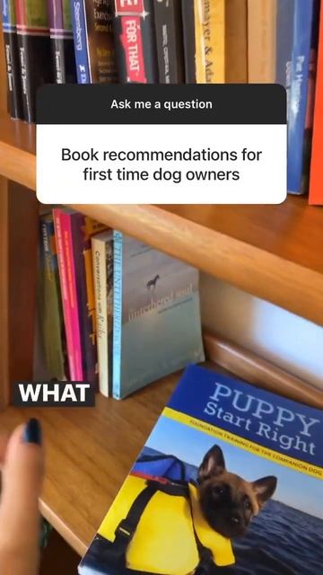 Dog Training Books смотреть онлайн