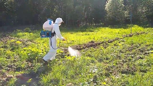 Уничтожение борщевика Сосновского смотреть онлайн