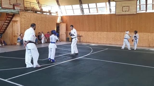 СЭНСЭЙ АРМАН ПЕТРОСЯН смотреть онлайн