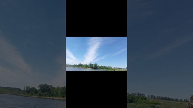 Джек Рассел монстр,байки охранника пруда.Смех до слез смотреть онлайн