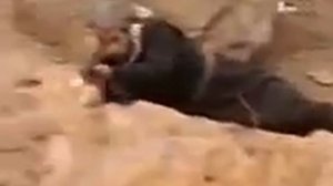 Пайрохаи такдир кисми 81