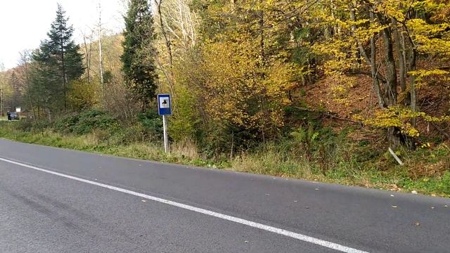 Урочище Шандра, джерело води насиченої сірководнем і ріка Свіча в Івано-Франківській області смотреть онлайн