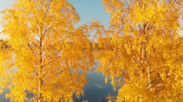 Расслабляющая музыка для нервов 🌿 Успокаивающая музыка, фортепианная музыка природы с пением птиц смотреть онлайн