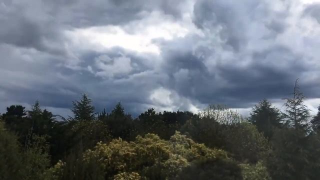 "Непогода" муз.М.Дунаевского, сл.Н.Олева смотреть онлайн