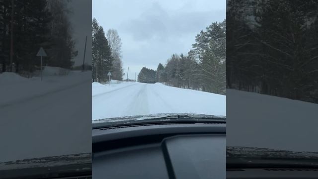Красивая лесная дорога 🌲🌲🌲 смотреть онлайн