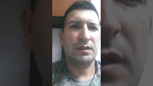 QUILTY.mp4 смотреть онлайн