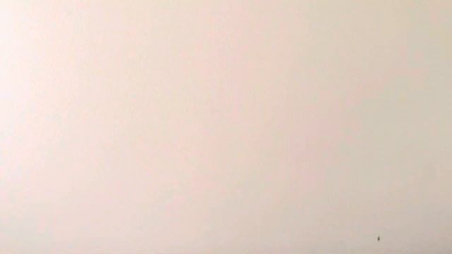 BFB Plush Battle Deluxe 1: Impress X!!! смотреть онлайн