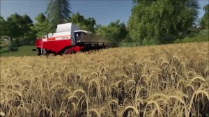 Обзор на Палессе GS 14
