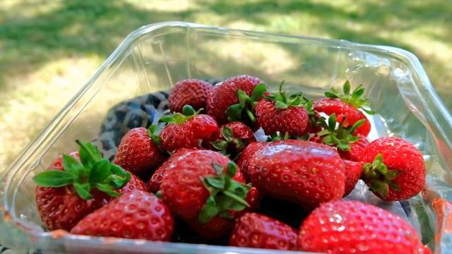 Productive day working from home 💻 to do list, cleaning, picnic and organising🌱 смотреть онлайн