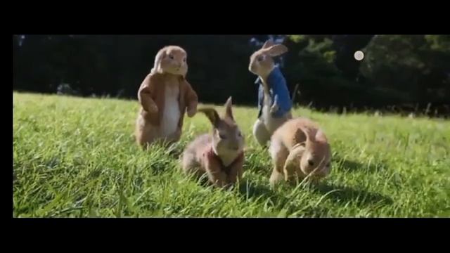 Кролик питер флопси клип #крольчиха#флопси смотреть онлайн