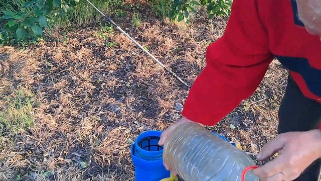 Черешня.Вишня. Захист від вишневої мухи смотреть онлайн