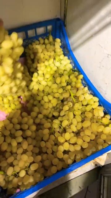 Местный узбекский Азербайджанский Казахстан Киргизия Таджикистан Молдова смотреть онлайн