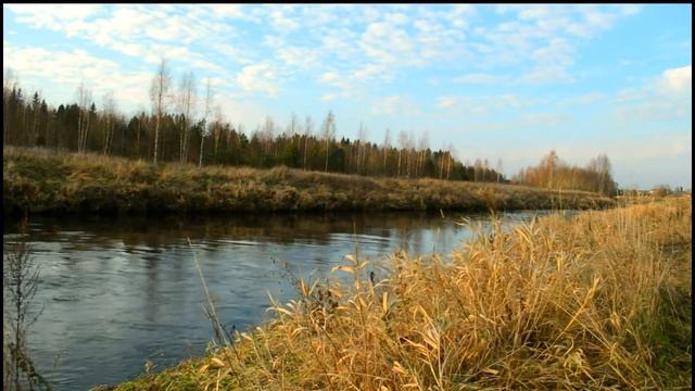 relax music for meditation река Оредеж смотреть онлайн