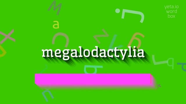 HOW TO SAY MEGALODACTYLIA? #megalodactylia смотреть онлайн
