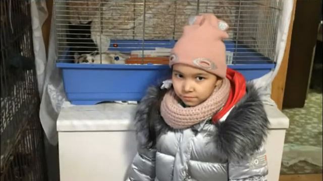 1б в приюте для животных "Успех" смотреть онлайн