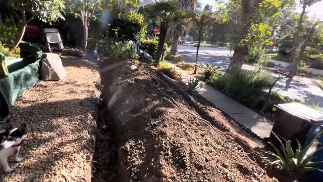 Gett’in Huge DIGGAH checks out TortoiseLand Expansion! 🐢❤️👍 смотреть онлайн