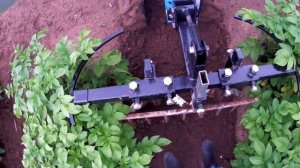 Рыхление междурядий   2