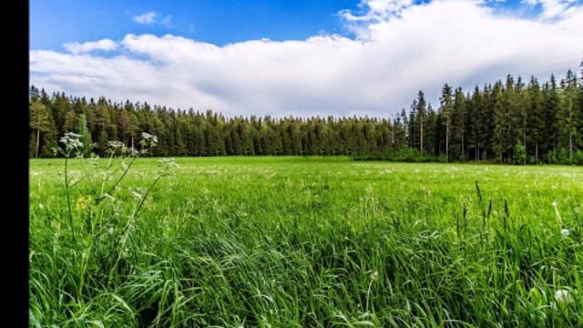 Червоня Михеич "Пролетели весение птицы "2020 смотреть онлайн