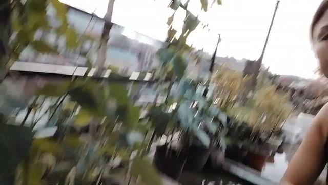 In chung volg..... dragon fruit leh thlai thenkhat te. смотреть онлайн