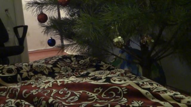 Кошка приносит игрушку смотреть онлайн