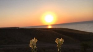 Утренняя заря !