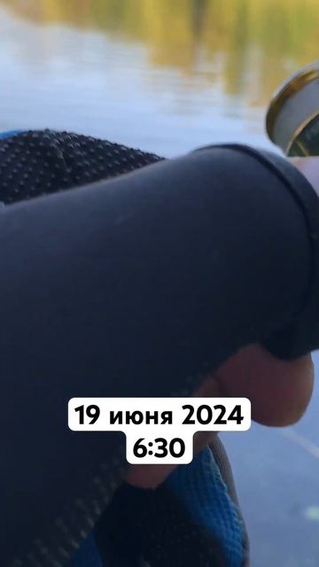 #249 #мормышинг | Мормышка 0.2 + мотыль CF = окунь на МОРМО | смотреть онлайн