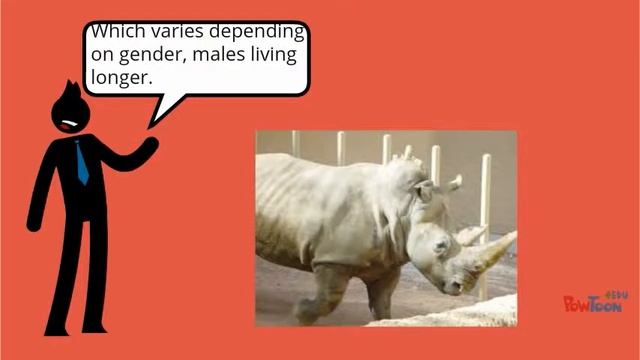 White Rhinoceros смотреть онлайн