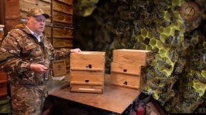 ВЕСЕННЕЕ РАЗВИТИЕ ПЧЕЛИНЫХ СЕМЕЙ