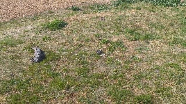 Який гарний вид на набережну. смотреть онлайн